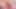 Big Boy Wanking on Camera - Big Dick - with Cumshot at the End