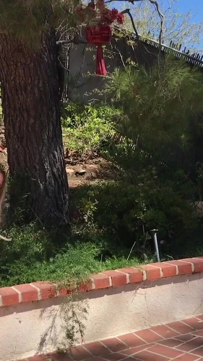Stunning moment from "MILF in the yard fuck peeping neighbor"