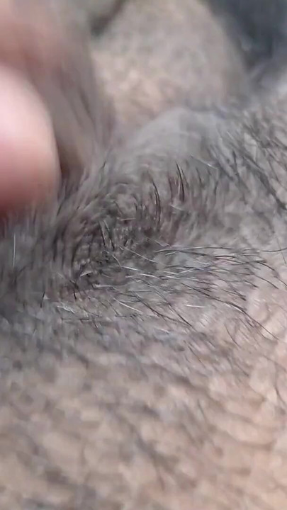 FTM กําลังสนุกกับตัวเอง | FTM คลิป 1