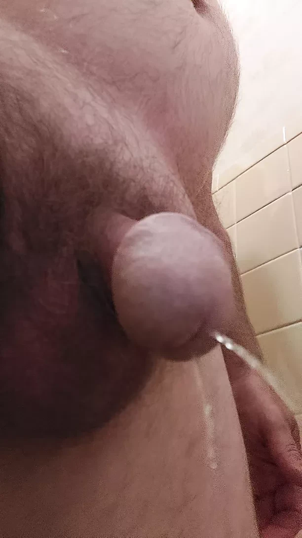 Jizzpiss445