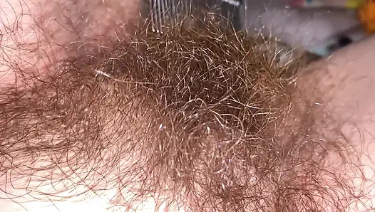 Brushing My Bush