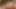 Analiz edildi - Jada Fire, Chelsie Rae ve Flower Tucci Oil vahşi anal üçlü grup seks yapıyor