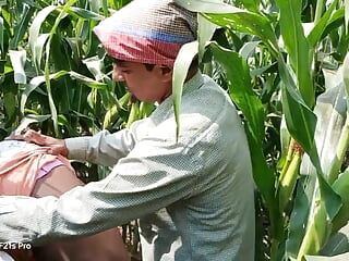 Trío indio gay - un jornalero y un granjero que emplea a un trabajador tienen sexo en un campo de maíz - película gay con audio hindi