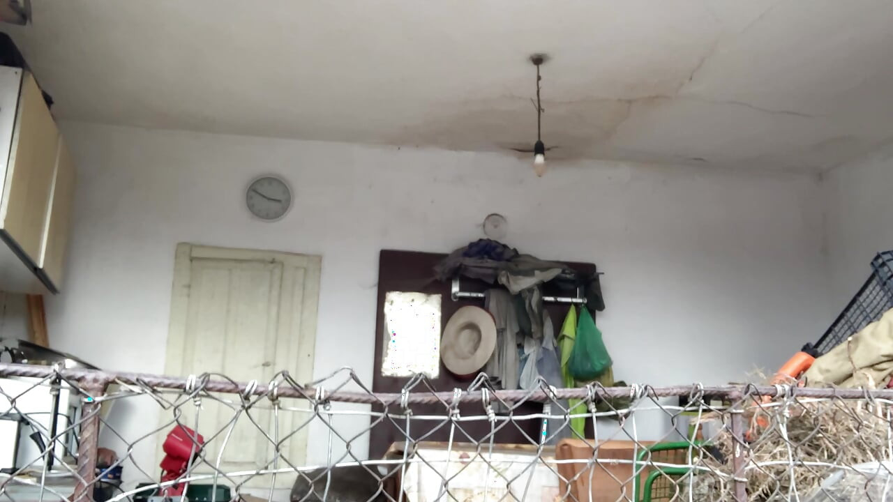 יום מושלם לציצים גדולים