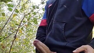 I went to the woods and my big cock got hard