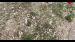 Pratinjau video