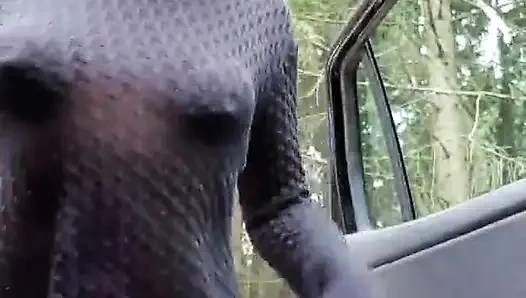 Julie Strips Naked on the Side of the Road and Squirts