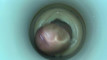 Pregled videozapisa