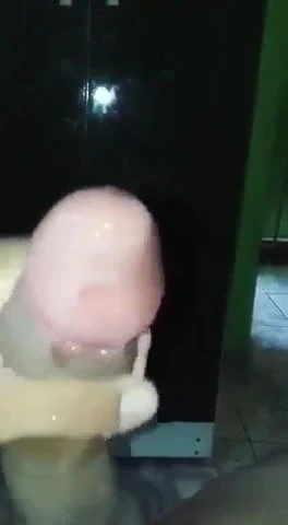 Desi land