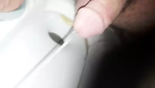 penis