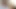 Aksi hot lesbian hot kulit hitam yang lagi asik muasin memek dan pantatnya pakai mainan seks