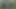 庭の修理
