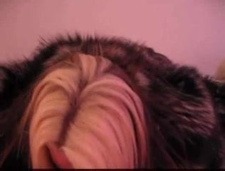 FUR PASSION