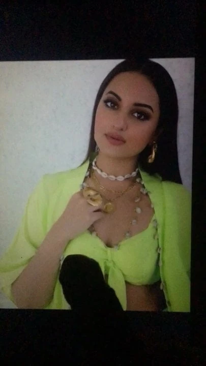 Sonakshi sinha cum tribute 01