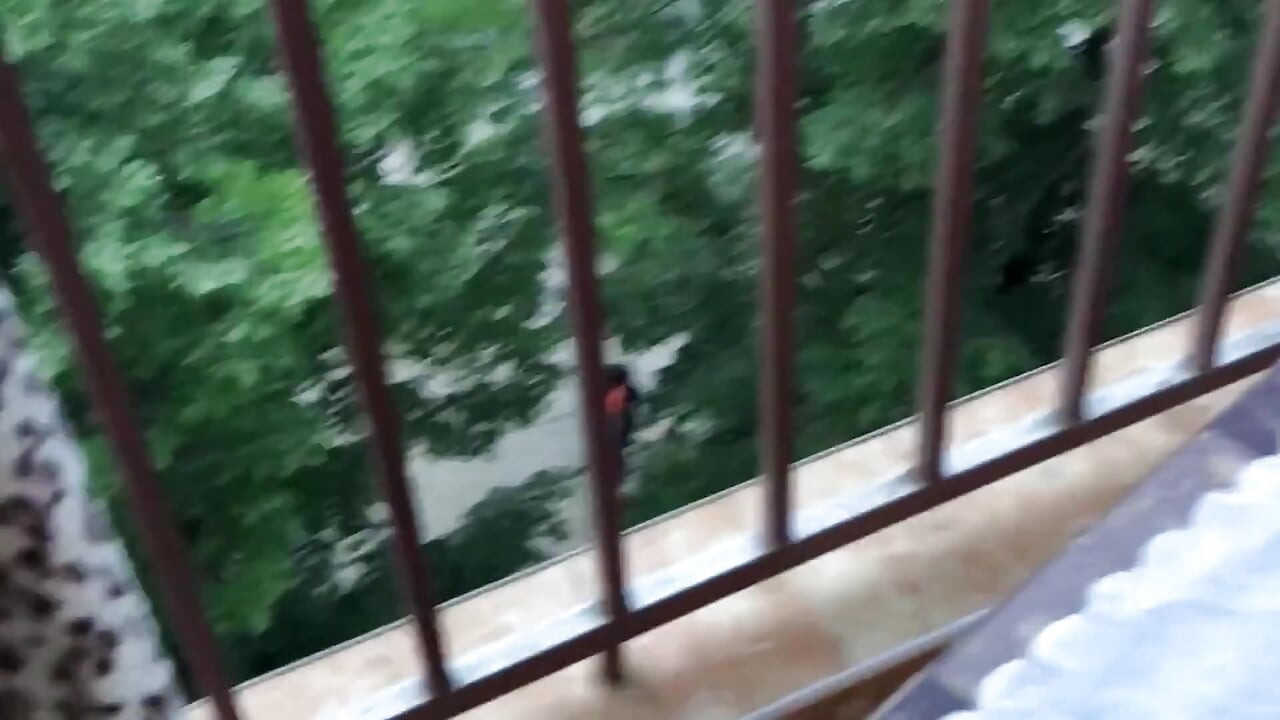 Eu coloco essas meias para você padrasto