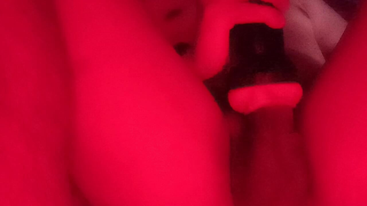 Warm My Milk Day 1616