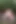 Anal Sex in the Forest.. I Got My Ass Broken in the Forest by a Stranger