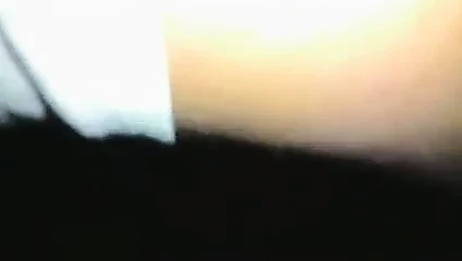 Mi perras transexual (Shemale)