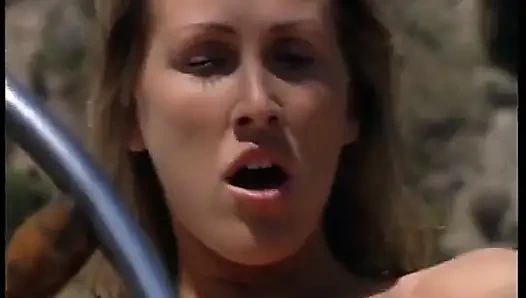 Busty Blonde in Fishnet Stockings Banged by a Big Hard Cock