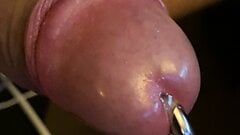 Electro torture my pierced Dick