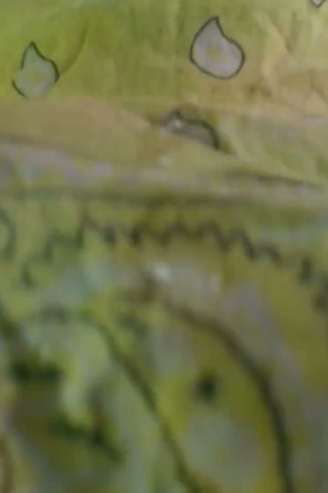 Poljubac za moje fanove