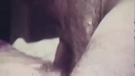 Vintage - memek berbulu suka kontol besar