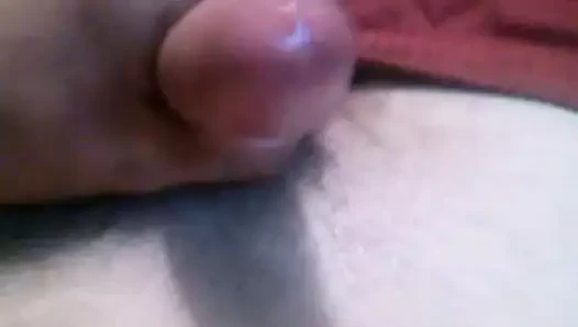 Masterbaute