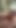 Kız ormanda mastürbasyon yapıyor (yakında tam video😈)