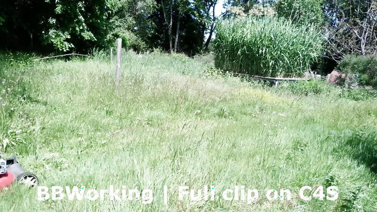 BBWorking Najbolje od letnjih klipova