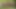 Unbridled Passion, Nature’s Way: The Thrilling Adventure of an Outdoor Sex Orgy Amidst the Verdant Landscape.