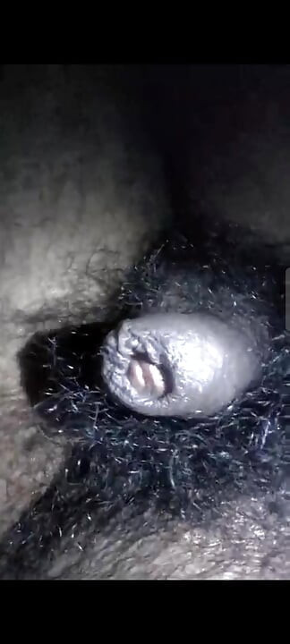 My dick is hungry for pussy
