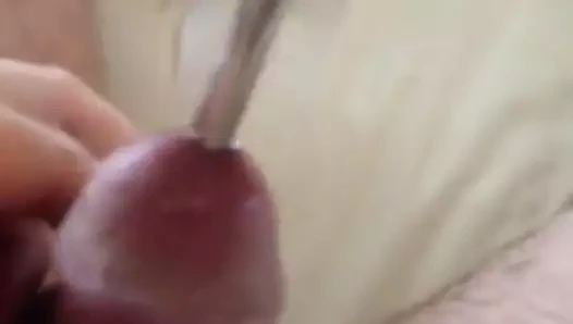 benim güzel horoz sondaj
