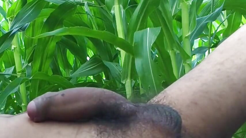 Worldwide Viral Desi Hunk Solo Action Vol 10 - Premium Faceless Amateur Close-up Intense Stroking Masterclass 4K