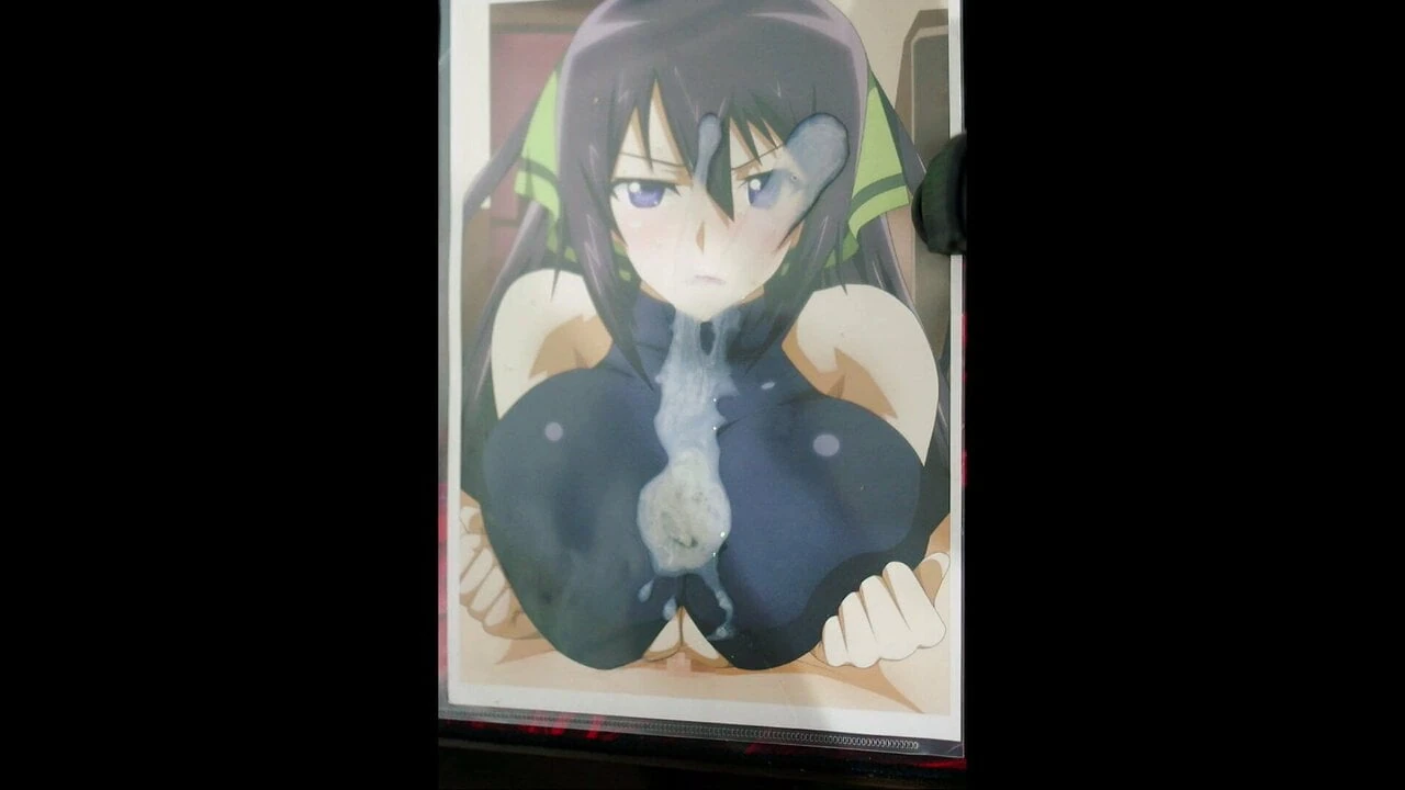Sop houki shinonono (é infinito stratos)