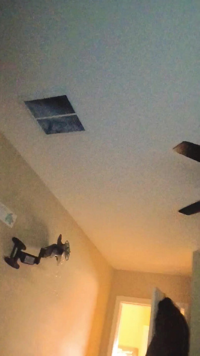 เฮลิคอปเตอร์