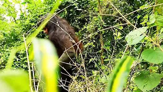 Video Gadis Hutan Desa Desi Bur Chudai Me Ashiķke Sath Chudai Karwate Huye Pakde Gye