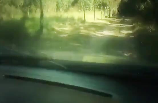 同性恋户外乐趣