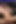 Peterfever the Jockstrap 2 - Raw Ride