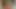 evcilleştirilmiş gençler taze olgun KEDİ alır tapped ve bu için evcilleştirildi