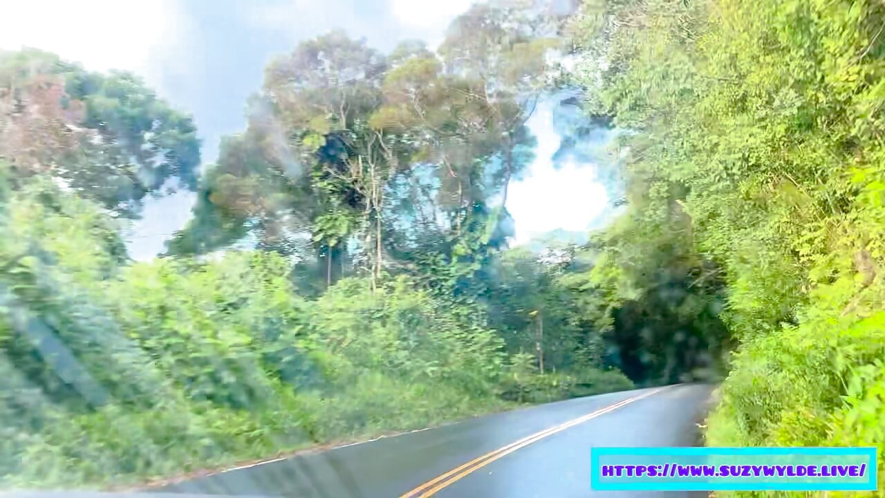 Waimoku Şelalesi'nde Suzy Wylde için Hana'ya seyahat