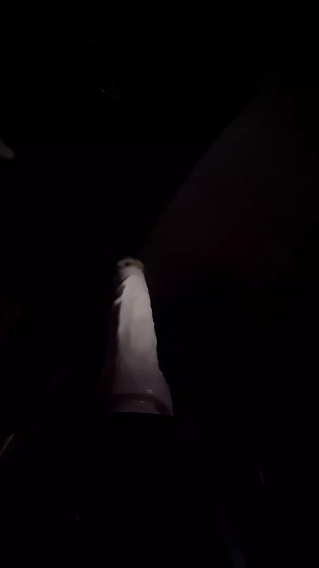 Biggest dildo to date