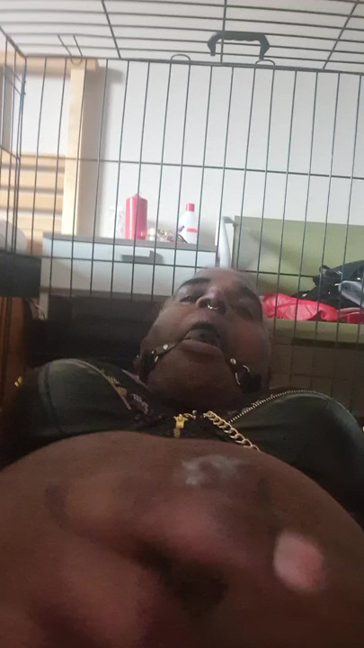 Horny bitch in a cage with gag ball