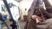 Pregled videozapisa