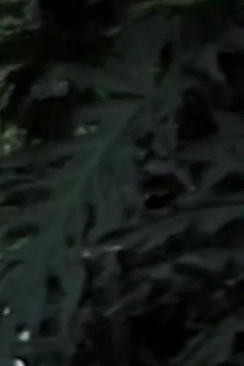 Hot Dicks Outside Scene 1: Two Gay Men Fuck Each Other's Asses During a Cruising Encounter