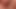 Amateur-Schwanzlutschen, Sexorgie