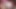 ヴァレンタインがソフィア・シルヴァンのフェムドム視点で舐める