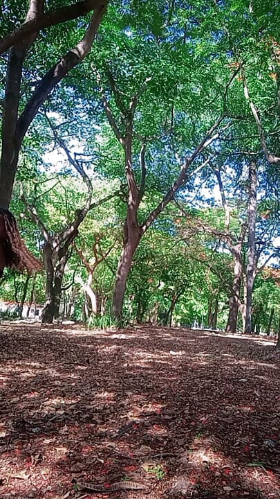 Kombinacija stava, samopouzdanja i malo misterije da biste pogledali dva puta