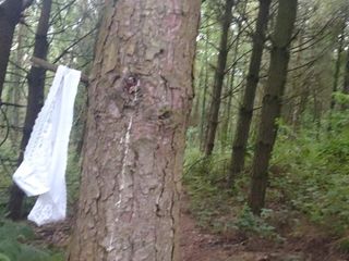 Plimbare și masturbare în pădure goală (partea 1)
