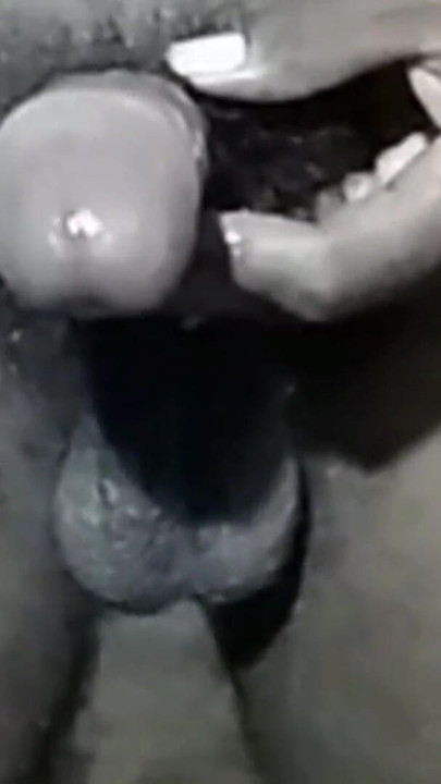 svog rodnog i | Isječak 1