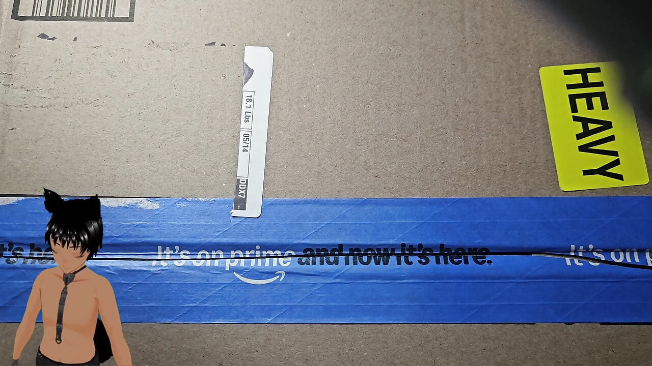 Should you put your dick in it!? - Got a new toy and it is heavy